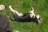 Filename=20110710_030.jpg
Filesize=257KiB
Dimensions=1023x682
Date added=Sep 01, 2011 20110710_030.jpg