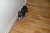 Filename=20110710_033.jpg
Filesize=82KiB
Dimensions=1023x682
Date added=Sep 01, 2011 20110710_033.jpg
