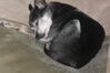 Filename=20110722_002.jpg
Filesize=101KiB
Dimensions=1023x682
Date added=Sep 01, 2011 20110722_002.jpg