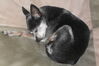 Filename=20110722_003.jpg
Filesize=126KiB
Dimensions=1023x682
Date added=Sep 01, 2011 20110722_003.jpg