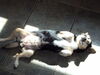 Filename=20110725_003.jpg
Filesize=117KiB
Dimensions=1024x768
Date added=Sep 01, 2011 20110725_003.jpg