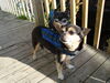 Filename=20110731_004.jpg
Filesize=178KiB
Dimensions=1024x768
Date added=Sep 01, 2011 20110731_004.jpg