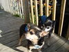 Filename=20110731_006.jpg
Filesize=196KiB
Dimensions=1024x768
Date added=Sep 01, 2011 20110731_006.jpg