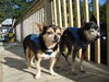Filename=20110731_008.jpg
Filesize=201KiB
Dimensions=1024x768
Date added=Sep 01, 2011 20110731_008.jpg