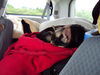 Filename=20110804_002.jpg
Filesize=117KiB
Dimensions=1024x768
Date added=Sep 07, 2011 20110804_002.jpg