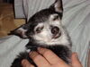 Filename=20110804_023.jpg
Filesize=147KiB
Dimensions=1024x768
Date added=Sep 07, 2011 20110804_023.jpg