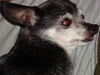 Filename=20110804_025.jpg
Filesize=164KiB
Dimensions=1024x768
Date added=Sep 07, 2011 20110804_025.jpg