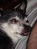 Filename=20110804_026.jpg
Filesize=144KiB
Dimensions=768x1024
Date added=Sep 07, 2011 20110804_026.jpg