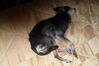 Filename=20110804_028.jpg
Filesize=106KiB
Dimensions=1023x682
Date added=Sep 07, 2011 20110804_028.jpg