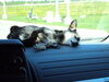 Filename=20110805_003.jpg
Filesize=115KiB
Dimensions=1024x768
Date added=Sep 07, 2011 20110805_003.jpg