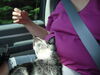 Filename=20110805_011.jpg
Filesize=155KiB
Dimensions=1024x768
Date added=Sep 07, 2011 20110805_011.jpg