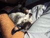 Filename=20110806_001.jpg
Filesize=179KiB
Dimensions=1024x768
Date added=Sep 07, 2011 20110806_001.jpg