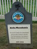 Filename=20110806_026.jpg
Filesize=164KiB
Dimensions=768x1024
Date added=Sep 07, 2011 20110806_026.jpg