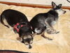 Filename=20110807_048.jpg
Filesize=146KiB
Dimensions=1024x768
Date added=Sep 07, 2011 20110807_048.jpg