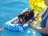 Filename=20110810_004.jpg
Filesize=147KiB
Dimensions=1024x768
Date added=Sep 07, 2011 20110810_004.jpg