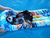 Filename=20110810_006.jpg
Filesize=139KiB
Dimensions=1024x768
Date added=Sep 07, 2011 20110810_006.jpg