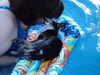 Filename=20110810_008.jpg
Filesize=143KiB
Dimensions=1024x768
Date added=Sep 07, 2011 20110810_008.jpg