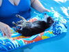 Filename=20110810_009.jpg
Filesize=139KiB
Dimensions=1024x768
Date added=Sep 07, 2011 20110810_009.jpg