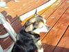 Filename=20110810_015.jpg
Filesize=176KiB
Dimensions=1024x768
Date added=Sep 07, 2011 20110810_015.jpg