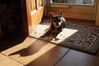Filename=20110830_003.jpg
Filesize=123KiB
Dimensions=1023x682
Date added=Sep 07, 2011 20110830_003.jpg