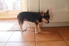 Filename=20110830_004.jpg
Filesize=75KiB
Dimensions=1023x682
Date added=Sep 07, 2011 20110830_004.jpg