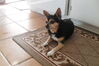 Filename=20110830_005.jpg
Filesize=121KiB
Dimensions=1023x682
Date added=Sep 07, 2011 20110830_005.jpg