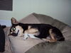 Filename=20110830_010.jpg
Filesize=104KiB
Dimensions=1024x768
Date added=Sep 21, 2011 20110830_010.jpg