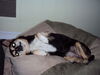 Filename=20110830_012.jpg
Filesize=100KiB
Dimensions=1024x768
Date added=Sep 21, 2011 20110830_012.jpg
