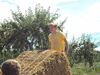 Filename=20110911_001.jpg
Filesize=200KiB
Dimensions=1024x768
Date added=Sep 21, 2011 20110911_001.jpg