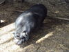 Filename=20110911_006.jpg
Filesize=245KiB
Dimensions=1024x768
Date added=Sep 21, 2011 20110911_006.jpg