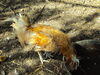 Filename=20110911_008.jpg
Filesize=273KiB
Dimensions=1024x768
Date added=Sep 21, 2011 20110911_008.jpg