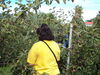 Filename=20110911_013.jpg
Filesize=228KiB
Dimensions=1024x768
Date added=Sep 21, 2011 20110911_013.jpg