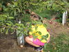 Filename=20110911_015.jpg
Filesize=242KiB
Dimensions=1024x768
Date added=Sep 21, 2011 20110911_015.jpg