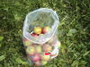Filename=20110911_019.jpg
Filesize=231KiB
Dimensions=1024x768
Date added=Sep 21, 2011 20110911_019.jpg