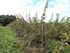 Filename=20110911_020.jpg
Filesize=231KiB
Dimensions=1024x768
Date added=Sep 21, 2011 20110911_020.jpg