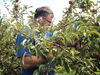 Filename=20110911_021.jpg
Filesize=237KiB
Dimensions=1024x768
Date added=Sep 21, 2011 20110911_021.jpg