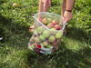 Filename=20110911_022.jpg
Filesize=253KiB
Dimensions=1024x768
Date added=Sep 21, 2011 20110911_022.jpg