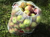 Filename=20110911_023.jpg
Filesize=200KiB
Dimensions=1024x768
Date added=Sep 21, 2011 20110911_023.jpg