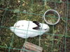 Filename=20110911_028.jpg
Filesize=210KiB
Dimensions=1024x768
Date added=Sep 21, 2011 20110911_028.jpg