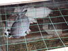 Filename=20110911_029.jpg
Filesize=170KiB
Dimensions=1024x768
Date added=Sep 21, 2011 20110911_029.jpg