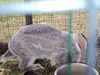 Filename=20110911_030.jpg
Filesize=200KiB
Dimensions=1024x768
Date added=Sep 21, 2011 20110911_030.jpg