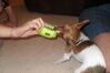 Filename=20111012_001.JPG
Filesize=116KiB
Dimensions=1023x682
Date added=Feb 21, 2012 20111012_001.JPG