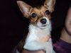 Filename=20111013_001.jpg
Filesize=91KiB
Dimensions=1024x768
Date added=Dec 11, 2011 20111013_001.jpg