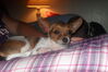 Filename=20111013_002.JPG
Filesize=114KiB
Dimensions=1023x682
Date added=Feb 21, 2012 20111013_002.JPG