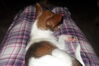 Filename=20111013_003.JPG
Filesize=127KiB
Dimensions=1023x682
Date added=Feb 21, 2012 20111013_003.JPG