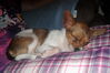 Filename=20111013_004.JPG
Filesize=121KiB
Dimensions=1023x682
Date added=Feb 21, 2012 20111013_004.JPG