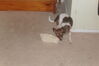 Filename=20111014_001.JPG
Filesize=118KiB
Dimensions=1023x682
Date added=Feb 21, 2012 20111014_001.JPG