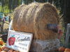Filename=20111023_001.jpg
Filesize=255KiB
Dimensions=1024x768
Date added=Dec 11, 2011 20111023_001.jpg