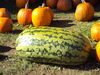 Filename=20111023_002.jpg
Filesize=241KiB
Dimensions=1024x768
Date added=Dec 11, 2011 20111023_002.jpg