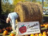 Filename=20111023_003.jpg
Filesize=274KiB
Dimensions=1024x768
Date added=Dec 11, 2011 20111023_003.jpg